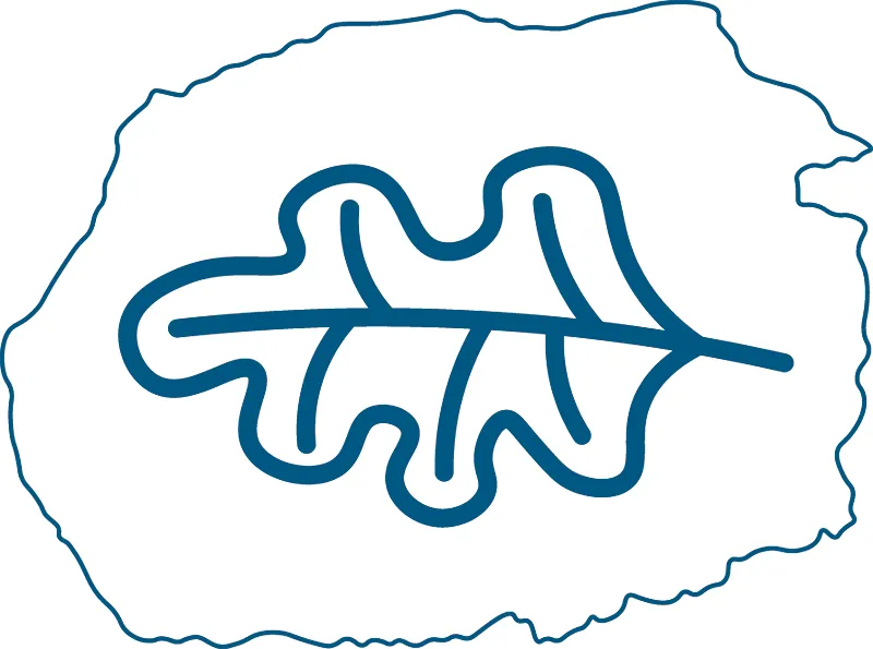 Pictogramme paléo-environnement