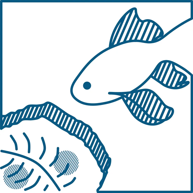 Pictogramme paléontologie