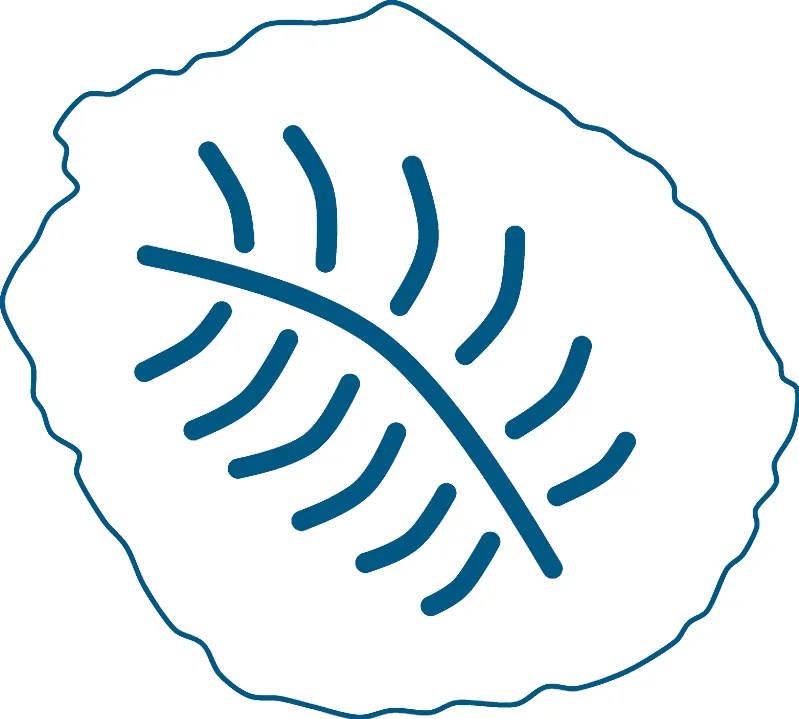 Pictogramme paléontologie