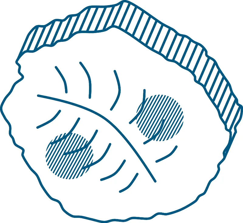 Pictogramme paléontologie