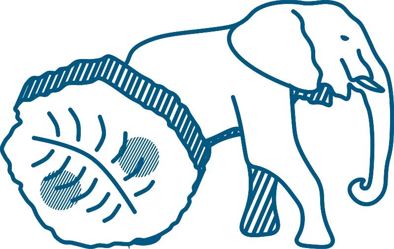 Pictogramme paléontologie